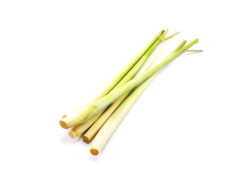 fresh lemon grass on a white backgroundの写真素材