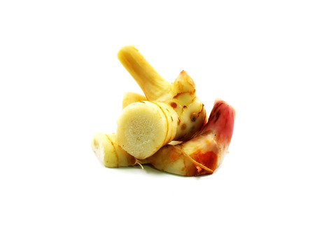 herb galangal on white backgroundの写真素材