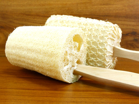 loofah sponge