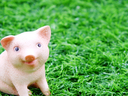 cute baby smile pig clay doll in a grassの写真素材