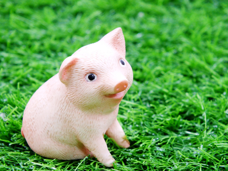 cute baby smile pig clay doll in a grassの写真素材