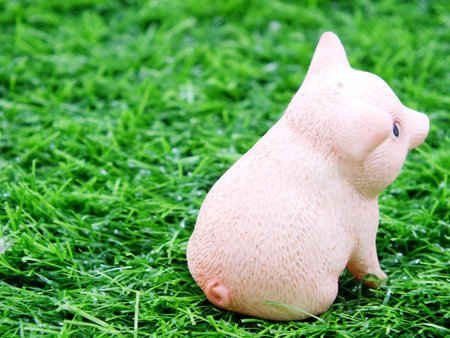 cute baby smile pig clay doll in a grassの写真素材