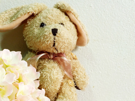 rabbit doll with space for copy backgroundの写真素材
