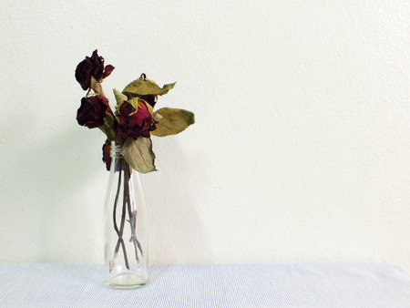 red withered roses romantic conceptual backgroundの写真素材