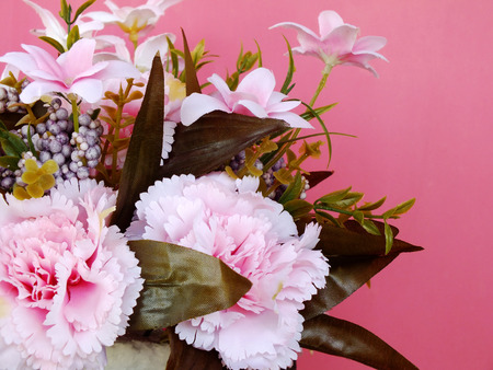 carnation artificial flower on pink backgroundの写真素材