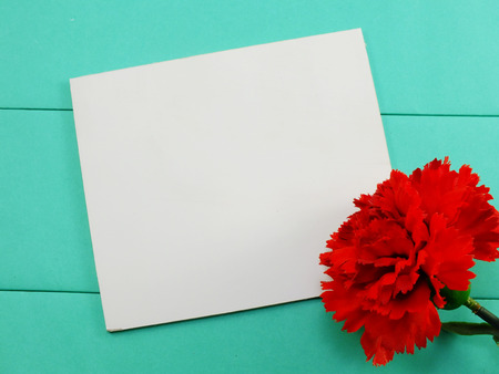 white card and red artificial carnation valentines day on green backgroundの写真素材
