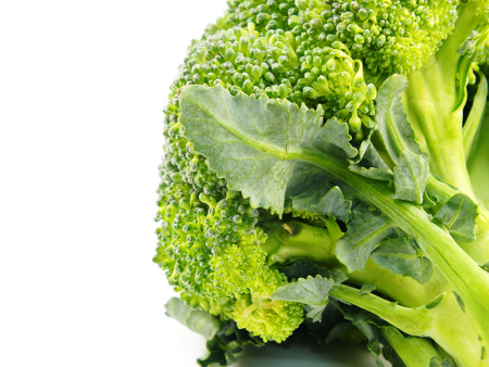 broccoli isolated on white backgroundの写真素材
