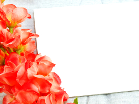 white card and artificial flower space for copy backgroundの写真素材