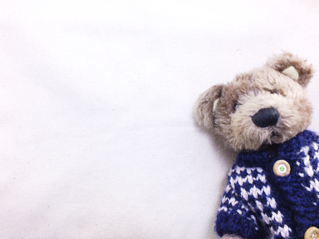 teddy bear with copy space backgroundの写真素材