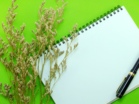 dried flowers and empty notebook pageの写真素材