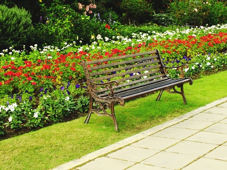 park bench in the morning light with vintage filter colorの写真素材