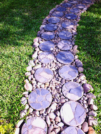 path way in garden with green grass background;