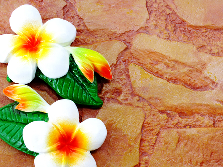 paint of plumeria flower carved  on brick background with space backgroundの写真素材