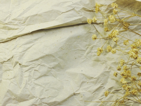 space background decorate with dried flowerの写真素材