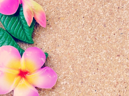 Paint of plumeria flower carved on brick backgroundの写真素材