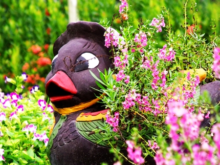duck statue in the garden with flowers decorated backgroundの写真素材
