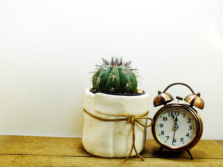 brown teddy bear sitting on wooden table with cactus in small pot and space copyの写真素材