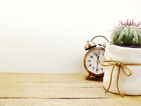 fresh cactus group in flowerpot and wooden photo frameの写真素材