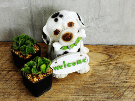 cactus in pot on wooden table still lifeの写真素材