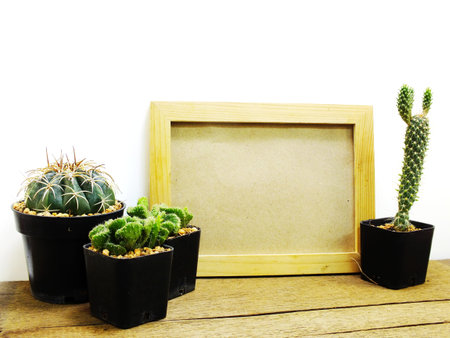 space of black board background with cactus decorateの写真素材