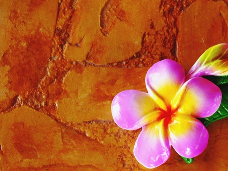 paint of plumeria flower carved  on brick background with space backgroundの写真素材