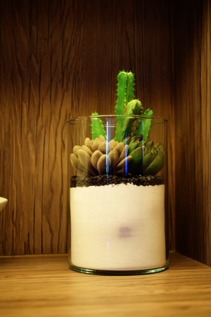 green artificial succulent plant home decorの写真素材