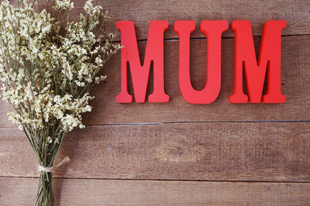 mother's day concept with space for copy backgroundの写真素材