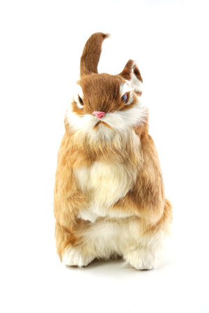 rabbit doll isolated on white backgroundの写真素材