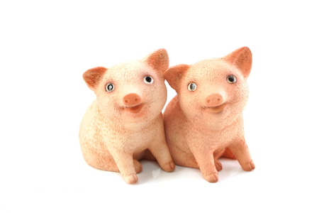 cute piglet figure isolated on white backgroundの写真素材