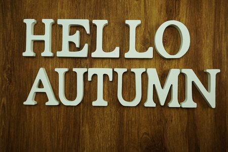 hello autumn on wooden backgroundの写真素材