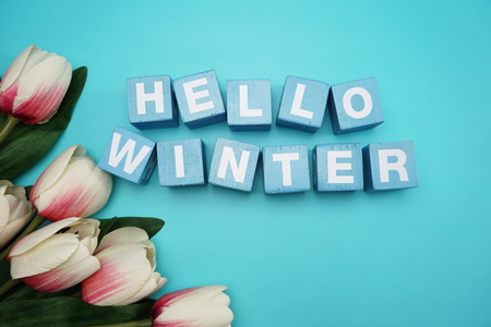 hello winter alphabet letter with tulip flower on blue backgroundの写真素材