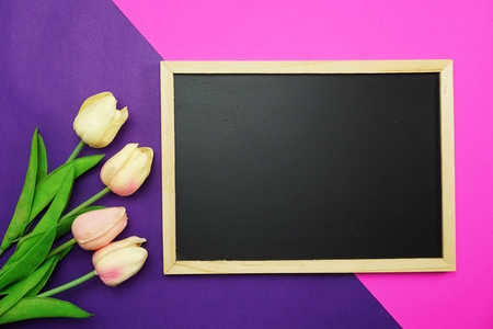 blackboard and bunch of tulip flower on pink and purple background flat layの写真素材