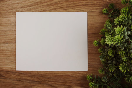 space empty background for copy on wooden background and green leave decoration