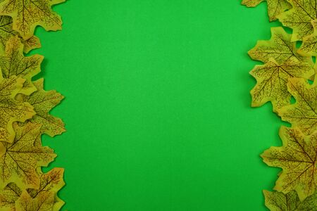 maple leaves background with Space for copy on green backgroundの写真素材