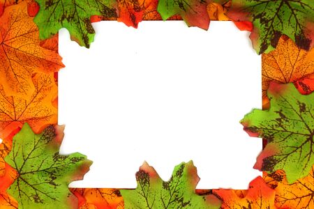 Orange and Green Maple Autumn leaf border with space copy over on white backgroundの写真素材