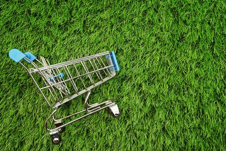 Mini trolley cart with space copy on green grass backgroundの写真素材