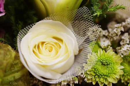 Close up beautiful White Rose flower bouquetの写真素材