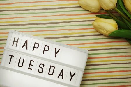Happy Tuesday text in light box with space copy flat lay on colorful backgroundの写真素材