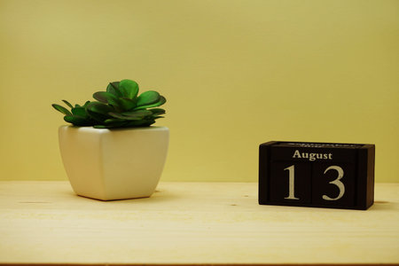 August 12th calendar wooden cube