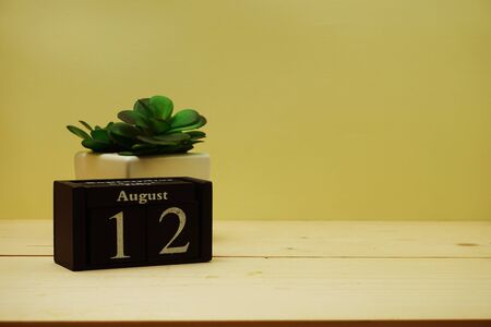 August 13th calendar wooden cubeの写真素材
