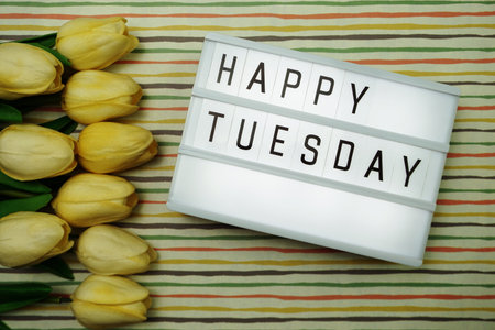 Happy Tuesday text in light box with space copy flat lay on colorful background