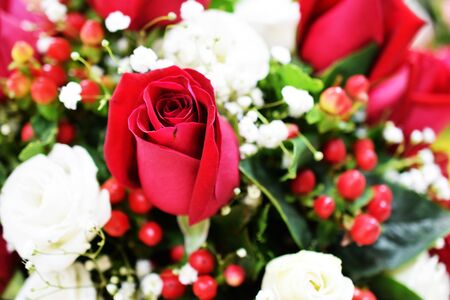 Close up beautiful Red rose flower bouquetの写真素材