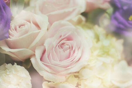 Close up beautiful Pink  rose flower bouquetの写真素材