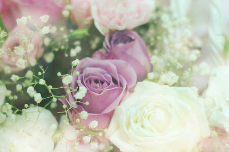 Close up beautiful Pink rose flower bouquetの写真素材