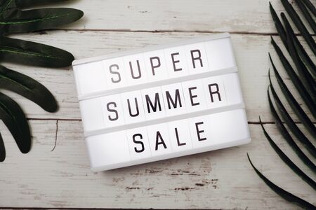 Summer sale text in light box and monstera leaf decorationの写真素材