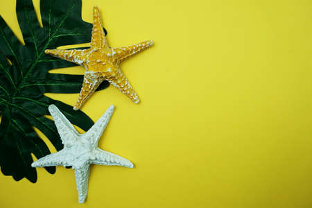 Summer Background concept with green leave and starfish decoration on yellow backgroundの写真素材