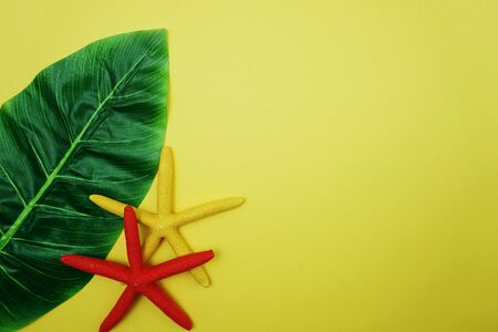Summer Background with starfish and green leave on yellow backgroundの写真素材