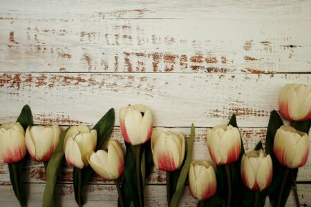 White Tulips bouquet with Space for text on a wooden backgroundの写真素材