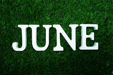 June alphabet letters flat lay on green grass background