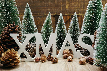 Merry XMAS Festive christmas background concept decoration with Christmas tree and pine cones on wooden backgroundの写真素材